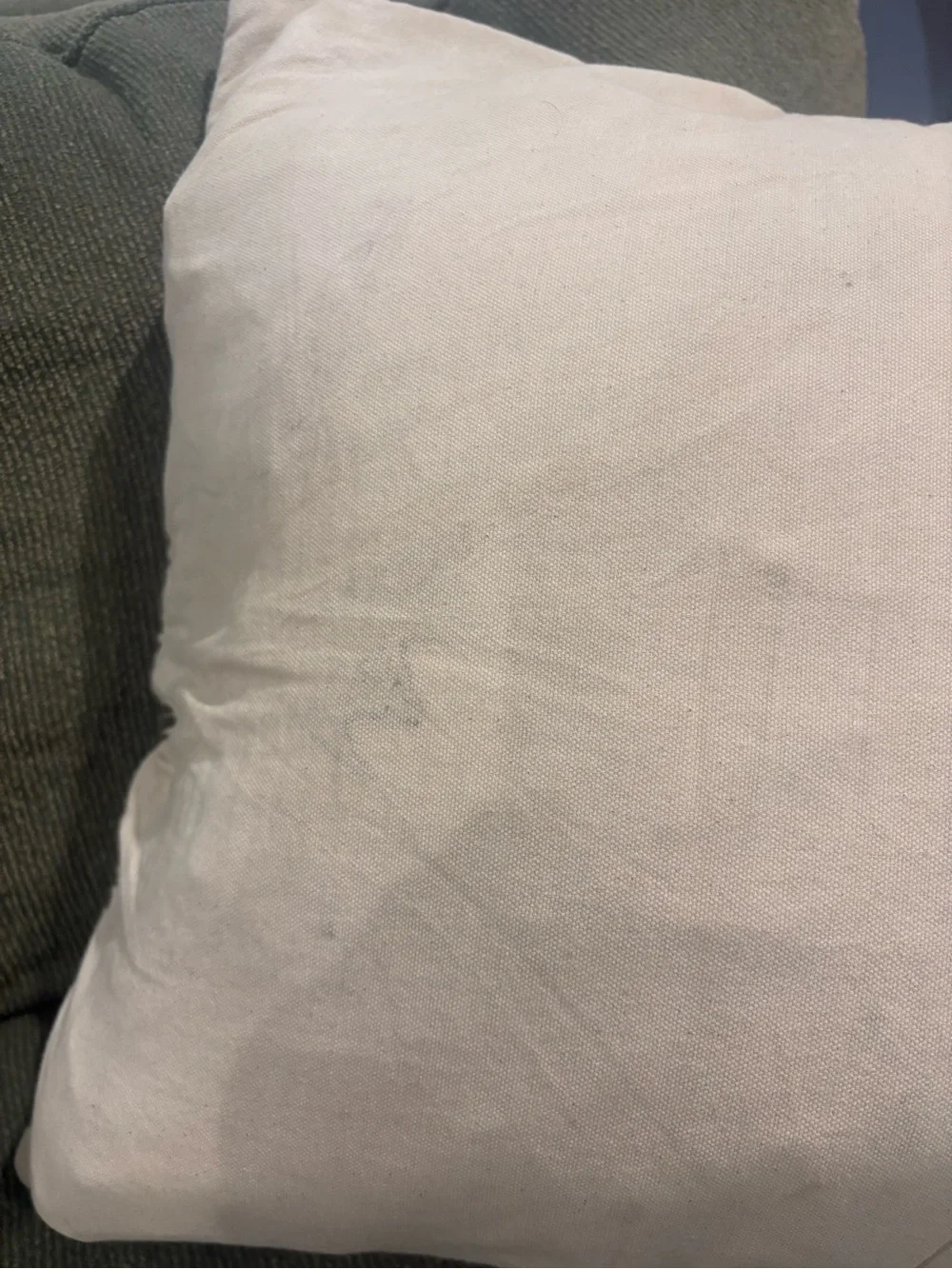 West Elm Textured Woven Accent Pillow in Sage and Cream